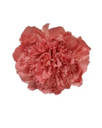 Fiori di Flamenca Peonie <b>Colore - Rosa, Taglia - G</b>