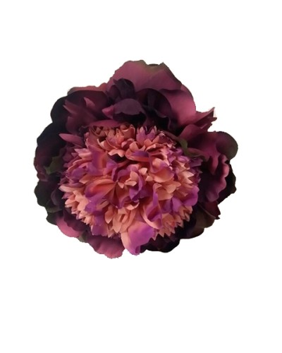 Fiori di Flamenca Peonie