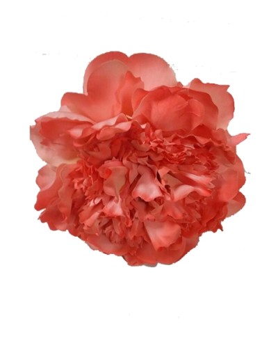 Fiori di Flamenca Peonie